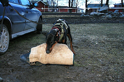 Training in Estonia 3/2007